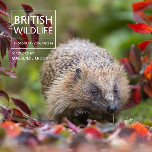 Cover image for British Wildlife Photography Awards 14, isbn: 9781805951483