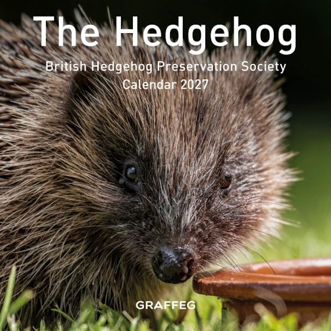 Cover image for The Hedgehog Calendar 2027, isbn: 9781805952022