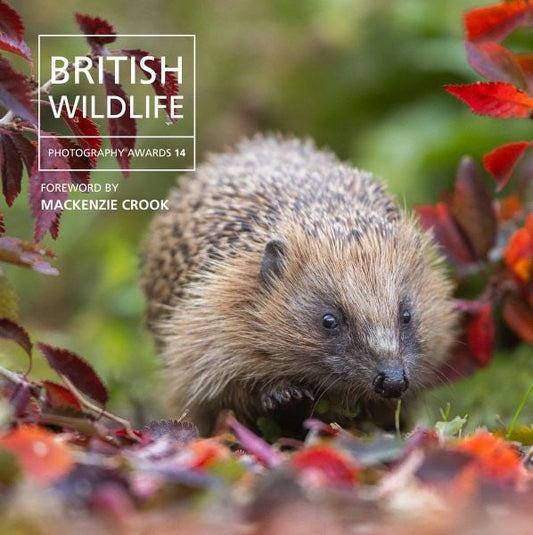 Cover image for British Wildlife Photography Awards 14, isbn: 9781805952138