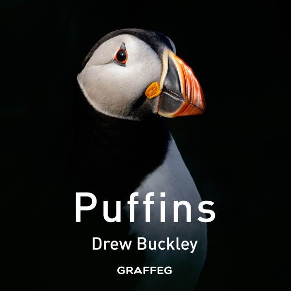 Cover image for Puffins, isbn: 9781805952312