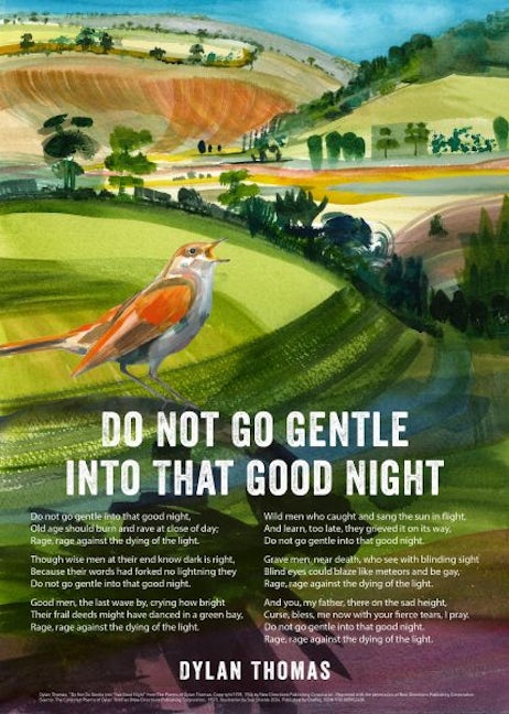 Cover image for Do Not Go Gentle by Dylan Thomas. The Nightingale Poster Poem, isbn: 9781805952428