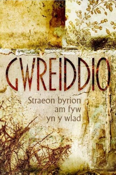 Cover image for Gwreiddio, isbn: 9781835390054