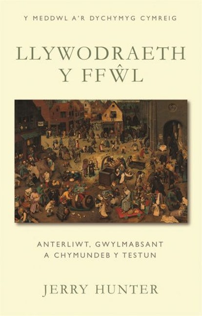 Cover image for Llywodraeth y Ffŵl, isbn: 9781837724499