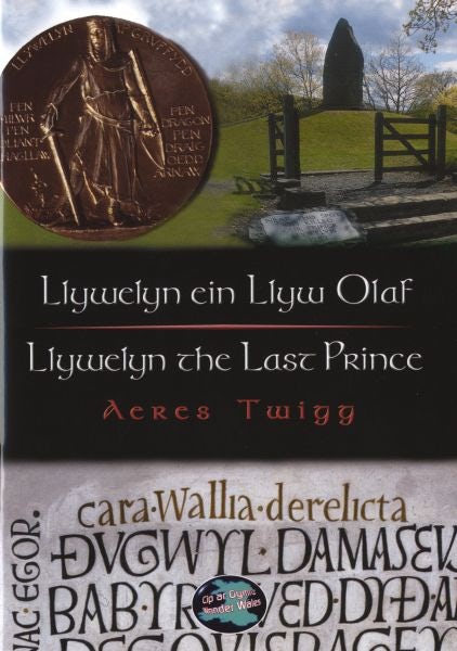 Cover image for Cyfres Cip ar Gymru / Wonder Wales: Llywelyn ein Llyw Olaf, isbn: 9781843230700
