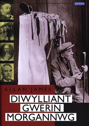 Cover image for Diwylliant Gwerin Morgannwg, isbn: 9781843230915