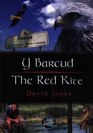 Cover image for Cyfres Cip ar Gymru / Wonder Wales: Barcud, Y / Red Kite, The, isbn: 9781843230953