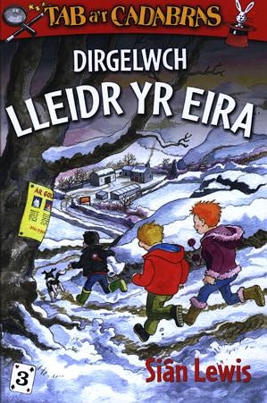 Cover image for Cyfres Tab a'r Cadabras: 3. Dirgelwch Lleidr yr Eira, isbn: 9781843233565