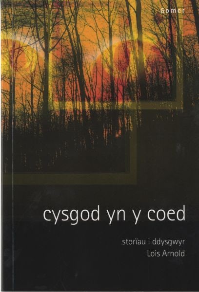 Cover image for Cysgod yn y Coed - Storïau i Ddysgwyr, isbn: 9781843233701