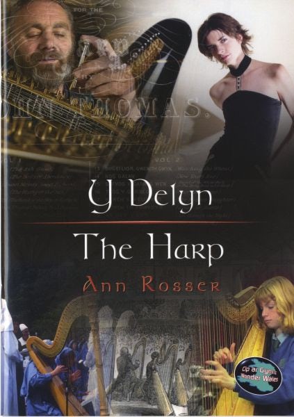 Cover image for Cyfres Cip ar Gymru/Wonder Wales: Delyn, Y, isbn: 9781843233732