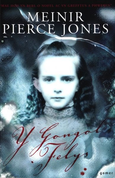Cover image for Gongol Felys, Y, isbn: 9781843235224
