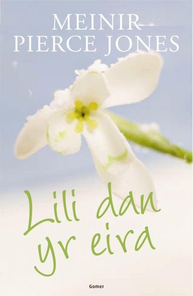 Cover image for Lili dan yr Eira, isbn: 9781843237037