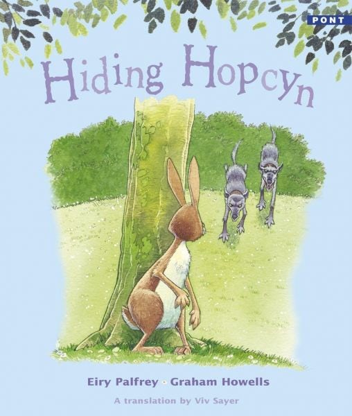 Cover image for Hiding Hopcyn, isbn: 9781843237129