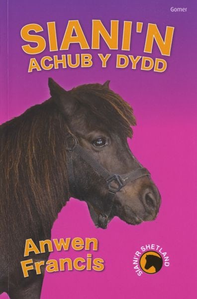 Cover image for Siani'r Shetland: Siani'n Achub y Dydd, isbn: 9781843237365