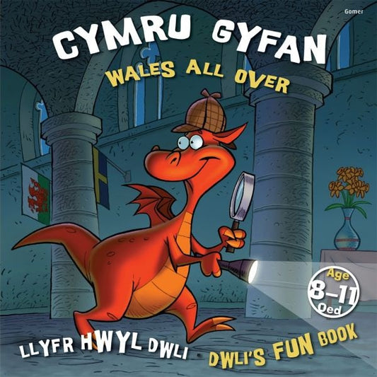Cover image for Llyfr Hwyl Dwli/ Dwli's Fun Book: Cymru Gyfan/ Wales All Over, isbn: 9781843237983