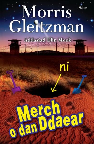 Cover image for Merch o dan Ddaear, isbn: 9781843238423