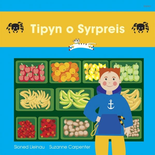 Cover image for Cadi: Tipyn o Syrpreis, isbn: 9781843239550