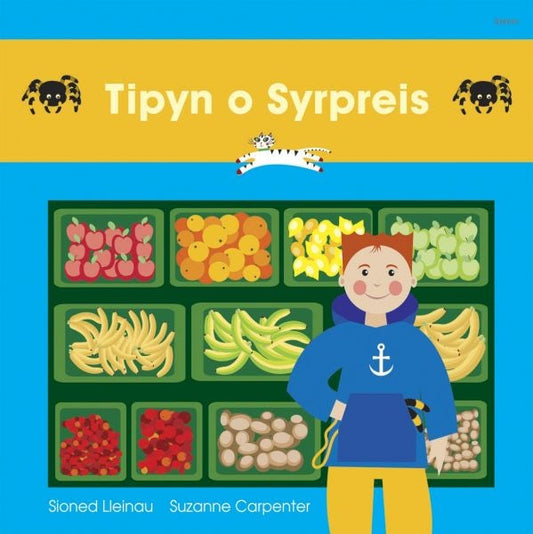 Cover image for Cadi: Tipyn o Syrpreis, isbn: 9781843239550