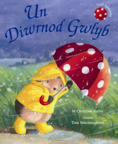 Cover image for Cyfres Draenog Bach: Un Diwrnod Gwlyb, isbn: 9781843239611