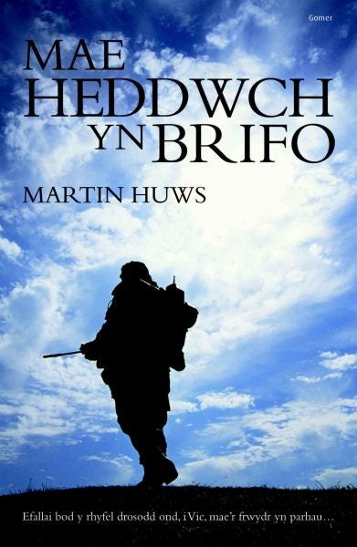 Cover image for Mae Heddwch yn Brifo, isbn: 9781843239925