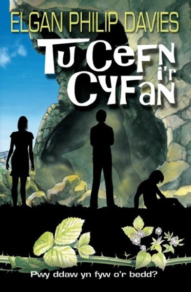Cover image for Tu Cefn i'r Cyfan, isbn: 9781845120078