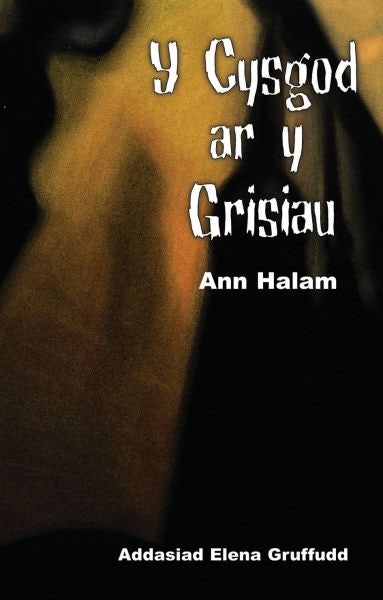 Cover image for Cyfres Ar Bigau: Y Cysgod ar y Grisiau, isbn: 9781845212001
