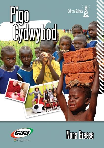 Cover image for Cyfres y Goleudy: Pigo Cydwybod, isbn: 9781845213183