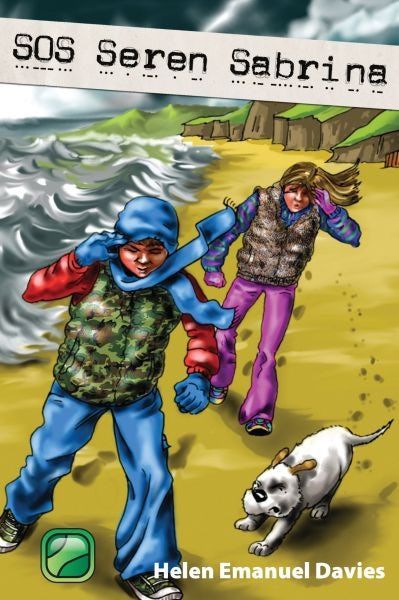 Cover image for SOS Seren Sabrina, isbn: 9781845213282