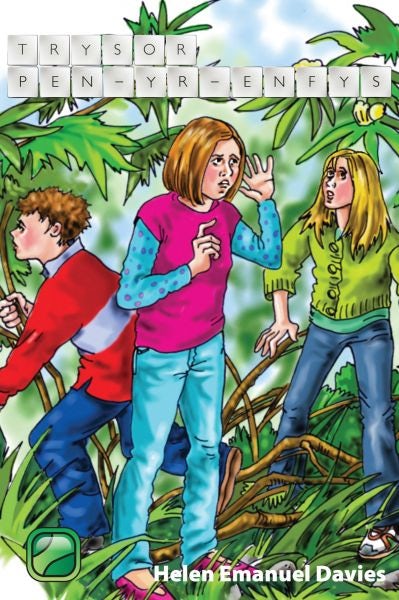 Cover image for Trysor Pen-yr-Enfys, isbn: 9781845213329