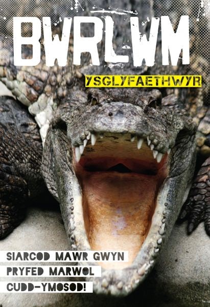 Cover image for Cyfres Bwrlwm: Ysglyfaethwyr, isbn: 9781845213480