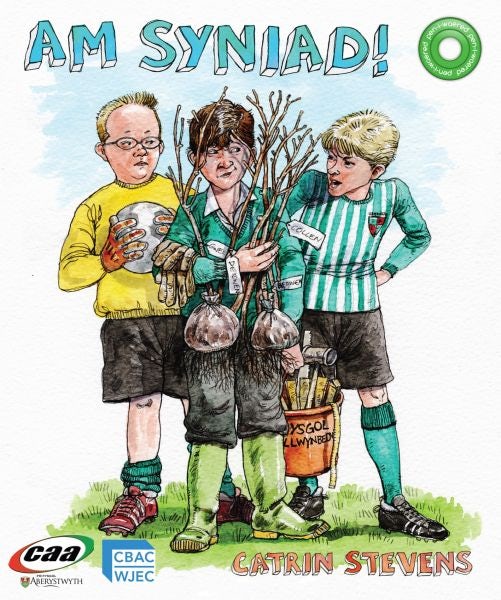Cover image for Pen-i-Waered: Y Senedd/Am Syniad!, isbn: 9781845214036