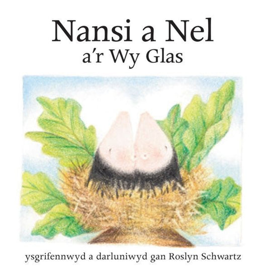 Cover image for Cyfres Nansi a Nel: Nansi a Nel a'r Wy Glas, isbn: 9781845214661