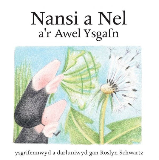 Cover image for Cyfres Nansi a Nel: Nansi a Nel a'r Awel Ysgafn, isbn: 9781845214678