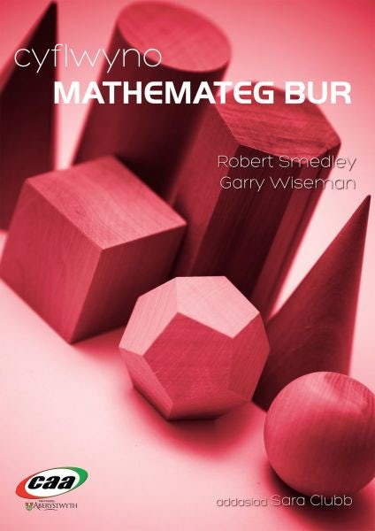 Cover image for Cyflwyno Mathemateg Bur, isbn: 9781845214739