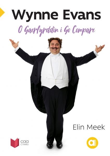 Cover image for Cyfres Amdani: Wynne Evans - O Gaerfyrddin i Go Compare, isbn: 9781845216856