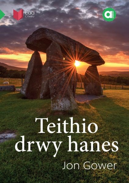 Cover image for Cyfres Amdani: Teithio drwy Hanes, isbn: 9781845216870