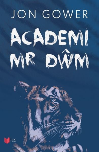 Cover image for Academi Mr Dŵm, isbn: 9781845216993