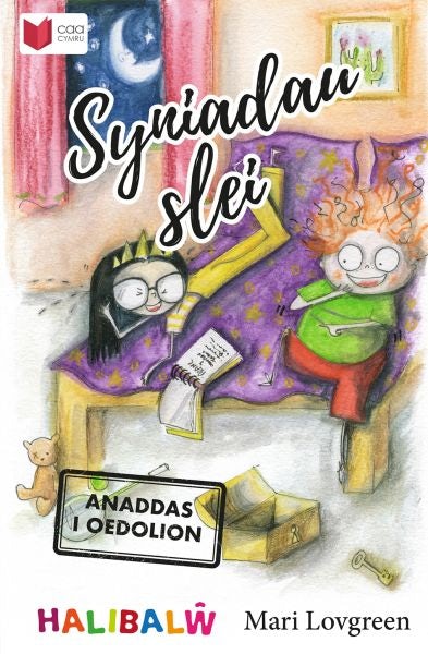 Cover image for Cyfres Halibalŵ: Syniadau Slei - Anaddas i Oedolion!, isbn: 9781845217051