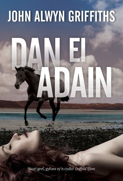Cover image for Dan ei Adain, isbn: 9781845243203