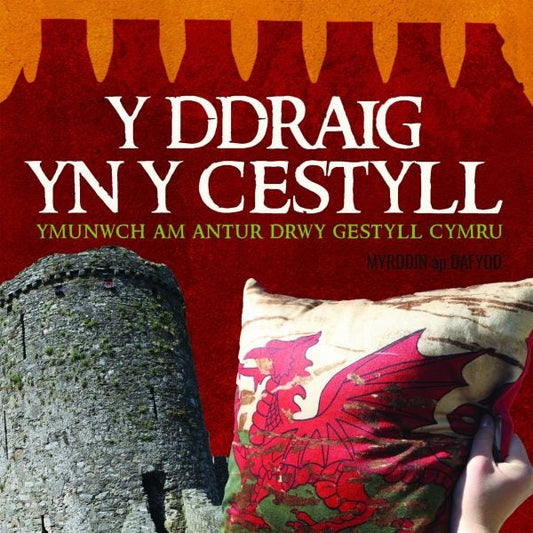 Cover image for Y Ddraig yn y Cestyll, isbn: 9781845243579