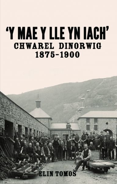 Cover image for 'Y Mae y Lle yn Iach' - Chwarel Dinorwig 1875-1900, isbn: 9781845243739