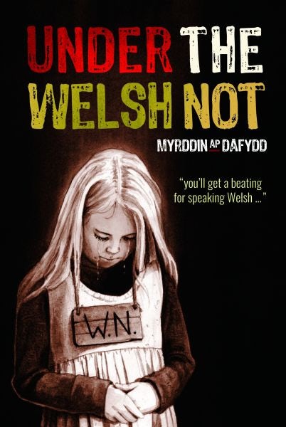 Cover image for Under the Welsh Not, isbn: 9781845244026