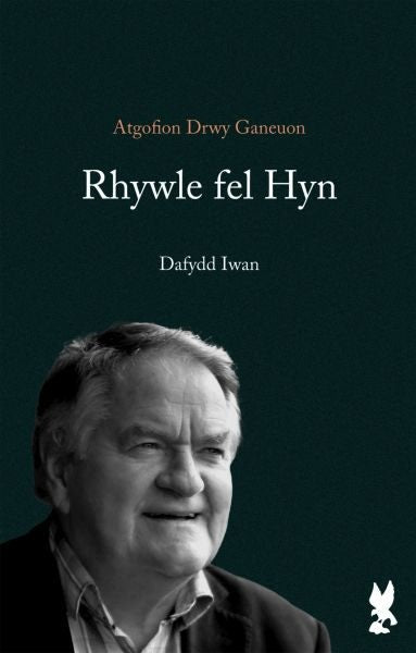 Cover image for Rhywle fel Hyn, isbn: 9781845244170