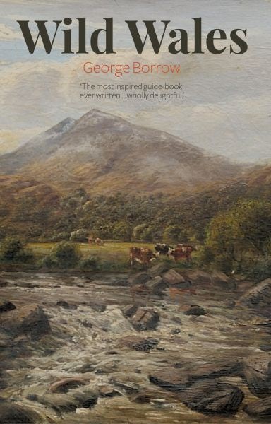 Cover image for Wild Wales, isbn: 9781845244514