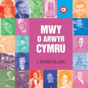 Cover image for Cyfres Amdani: Mwy o Arwyr Cymru, isbn: 9781845244767