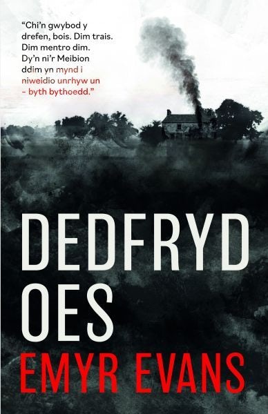 Cover image for Dedfryd Oes, isbn: 9781845244903