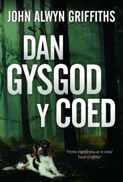 Cover image for Dan Gysgod y Coed, isbn: 9781845245054