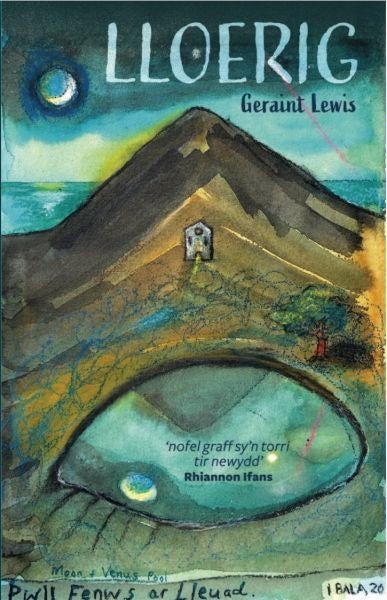 Cover image for Lloerig, isbn: 9781845245337