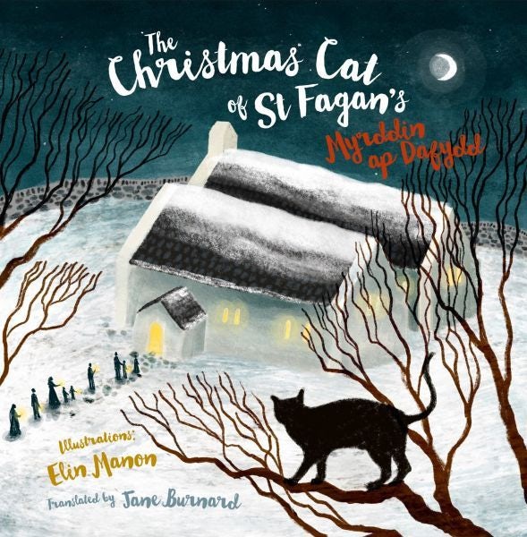 Cover image for The Christmas Cat at St Fagan's, isbn: 9781845245573