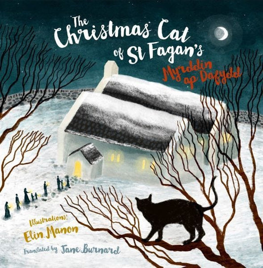 Cover image for The Christmas Cat at St Fagan's, isbn: 9781845245573