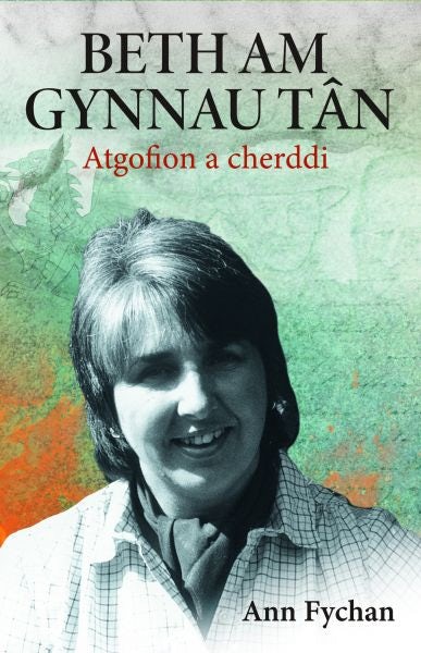 Cover image for Beth am gynnau tân, isbn: 9781845248000